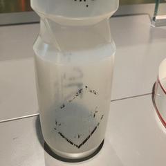 Botella de auga, segundo informou Pathé Tilburg Stappegoor usando iLost