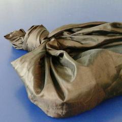 Tasje met paraplu, as reported by Connexxion Haaglanden Den Haag using iLost