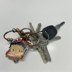 سلسلة المفاتيح sleutelhanger betty boob، كما تم الإبلاغ عنه بواسطة Stad Hasselt عبر iLost