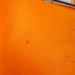 Caderno De brouillon oxford, como reportado por IKEA Strasbourg utilizando o iLost