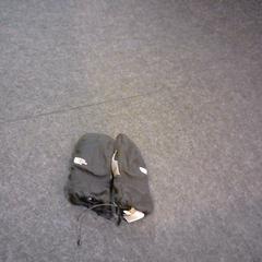 Mittens, as reported by SnowWorld Landgraaf using iLost