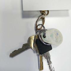 Sleutelbos, a été signalé par Syntus Provincie Utrecht utilisant iLost