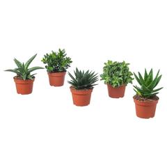 IKEA product, as reported by IKEA Valencia using iLost
