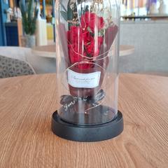 Rose lamp Plexiglass, iLost를 사용하여 ibis Styles Rotterdam Ahoy에 보고됨