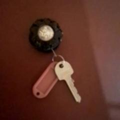 Keys, as reported by Apenheul using iLost