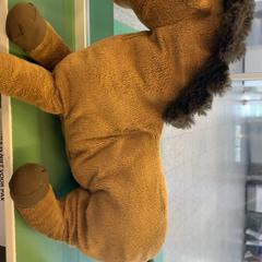 Knuffel, come riportato da Eindhoven Airport utilizzando iLost