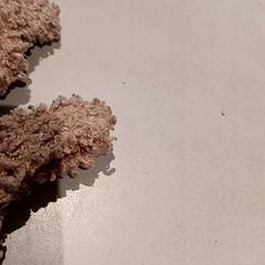 Kosete leke, som rapportert av De Efteling ved bruk av iLost