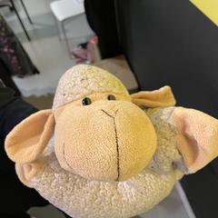 Stuffed animal, as reported by Room Mate Bruno using iLost