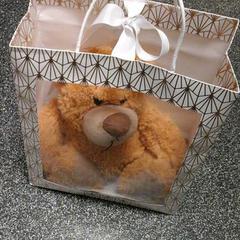 Tas met beertje, gemeldet von Connexxion Hoekse Waard/Goeree Overflakkee über iLost