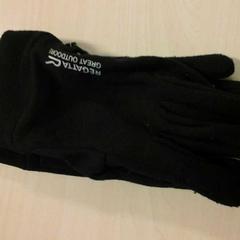 Handschoenen, conforme relatado por Connexxion Zeeland usando o iLost