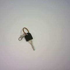 Clé, a été signalé par Bobbejaanland utilisant iLost