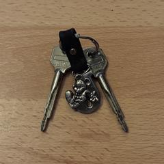 Sleutels met Mickey Mouse sleutelhanger, iLost'a bildirildiği gibi