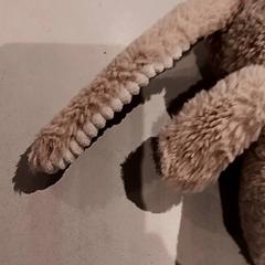 Knuffel, as reported by De Efteling using iLost