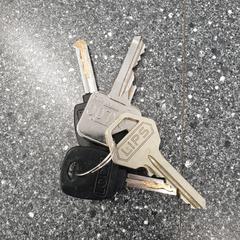 sleutelbos, gemeldet von Syntus Midden-Overijssel über iLost