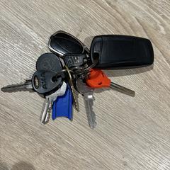 Sleutelbos met autosleutel, as reported to iLost