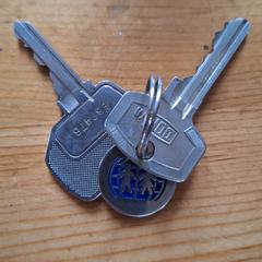 sleutelhanger met 2 sleutels, ha sido reportado a iLost