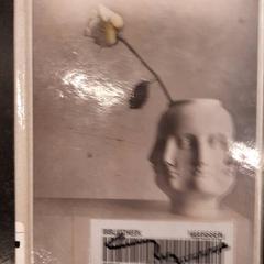 Book, as reported by Rotterdam The Hague Airport using iLost
