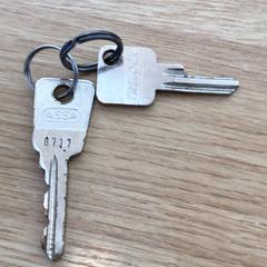 المفاتيح 2 sleutels، كما تم الإبلاغ عنه بواسطة Gemeente Alkmaar عبر iLost