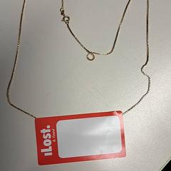 Collar Goudkleurig, ha sido reportado por St. Antonius Ziekenhuis Nieuwegein con iLost