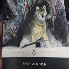Boek, iLost에 보고됨