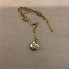 Gouden ketting, iLost를 사용하여 Haaglanden Medisch Centrum에 보고됨