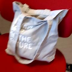 Bag, som rapportert av Syntus Provincie Utrecht ved bruk av iLost