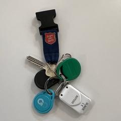 Chaveiro Tags en LdH sleutelhanger, segundo informou Gemeente Ede usando iLost