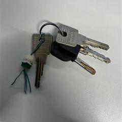 Klucz Nijntje zonder oortjes sleutel hanger, zgłoszono przez TU/e - Receptie Matrix przy użyciu iLost