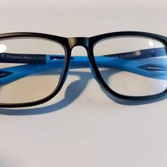 Glasses, as reported by Arriva Limburg Noord using iLost