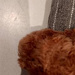 Peluche, come riportato da De Efteling utilizzando iLost