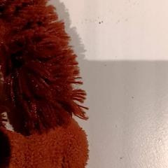 Knuffel, zoals gemeld door De Efteling met iLost