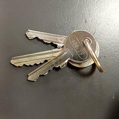 Klucz Gris argent, zgłoszono przez IKEA Strasbourg przy użyciu iLost