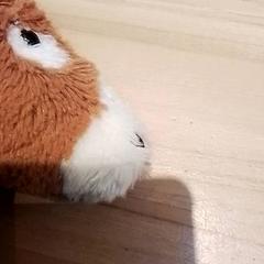 Peluix, segons ha informat Beekse Bergen Resorts en Hotel mitjançant iLost