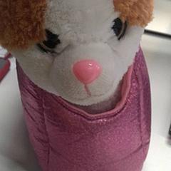 Xoguete de peluche, segundo informou IKEA Gent usando iLost