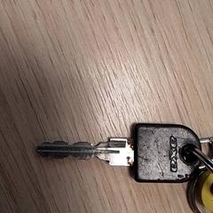 Llave, ha sido reportado por Qbuzz Fryslân con iLost
