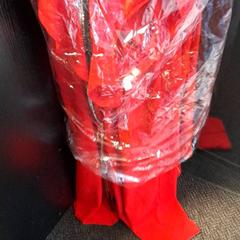 Vestido, segundo informou Van der Valk Hotel Tiel usando iLost