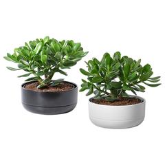 Výrobek IKEA, jak nahlášeno IKEA Liège pomocí iLost