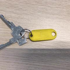 Screwdriver, as reported by Gemeente Arnhem using iLost