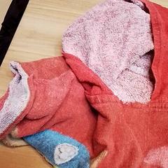 Badponcho, como reportado por Beekse Bergen Resorts en Hotel utilizando o iLost