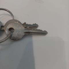 المفاتيح (متنوعة)، كما تم الإبلاغ عنه بواسطة Arriva Limburg Zuid عبر iLost