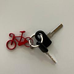 Claus de bicicleta, segons ha informat Gemeente Ede mitjançant iLost