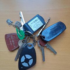 Sleutelbos, come riportato a iLost