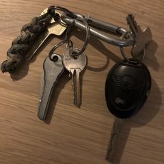 Sleutelbos met autosleutel mini en huissleutels, ha sido reportado a iLost