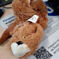 Knuffeldoek, zoals gemeld door IKEA Grenoble met iLost