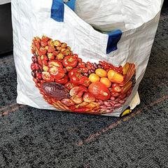Borsa, come riportato da Connexxion Haarlem IJmond utilizzando iLost