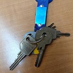 Klíčenka, jak nahlášeno Gemeente Zutphen pomocí iLost