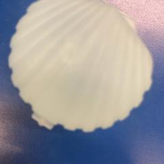 容器, zgłoszono przez IKEA福岡新宮 przy użyciu iLost