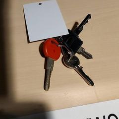 Kulcsok, amint azt Regio Antwerpen - Brussel az iLost segítségével jelentette.