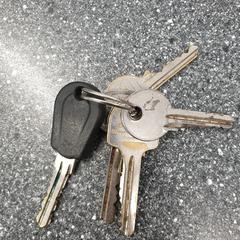 sleutelbos, zoals gemeld door Syntus Midden-Overijssel met iLost