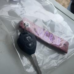 Car key Roze bandje ingrid, as reported by Zwarte Cross using iLost